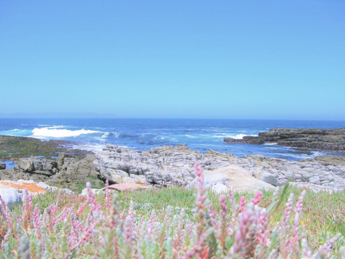 Vila Beachfront House - Hermanus Whale View Exteriér fotografie