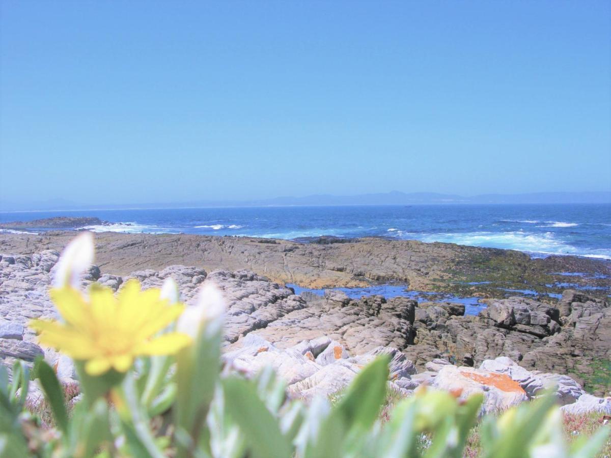 Vila Beachfront House - Hermanus Whale View Exteriér fotografie