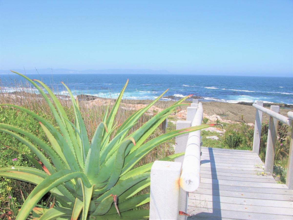 Vila Beachfront House - Hermanus Whale View Exteriér fotografie