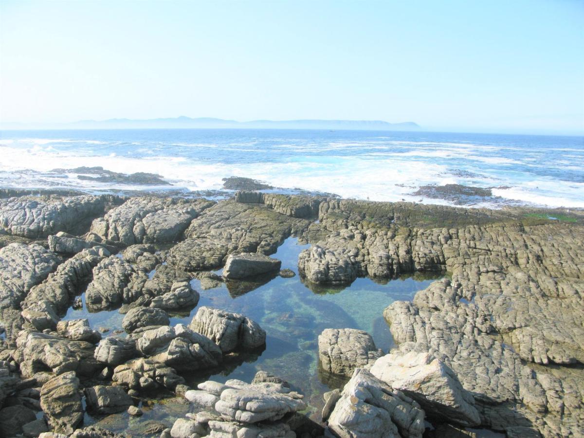 Vila Beachfront House - Hermanus Whale View Exteriér fotografie