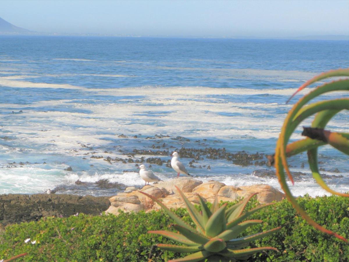 Vila Beachfront House - Hermanus Whale View Exteriér fotografie
