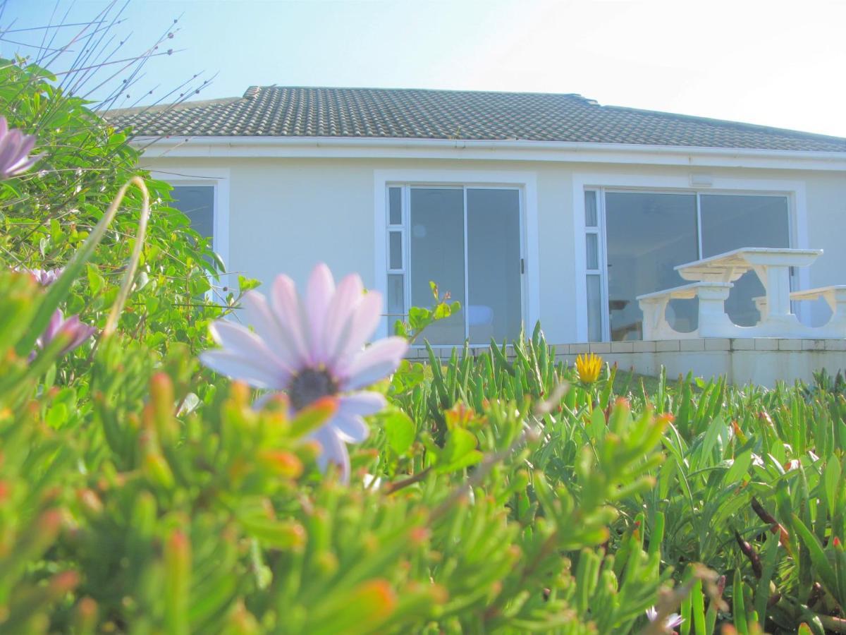 Vila Beachfront House - Hermanus Whale View Exteriér fotografie